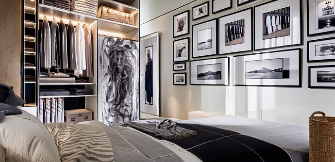 2025-04-15 09-12-29 - bedroom, closet with clothing, wall art, photograph
