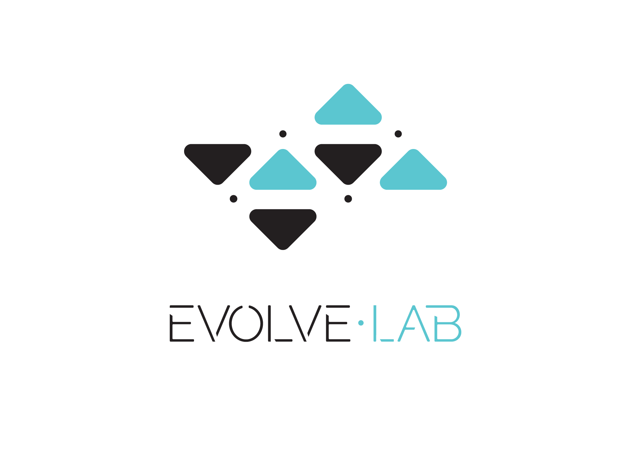 veras-9-5-6-not-working-veras-evolvelab-forum